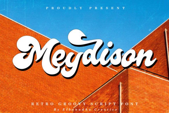 Meydison Retro Groovy Display Font for Crafters and Sellers